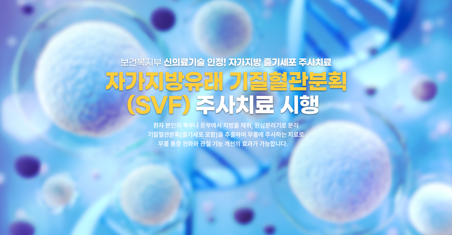 메인 비주얼 배너