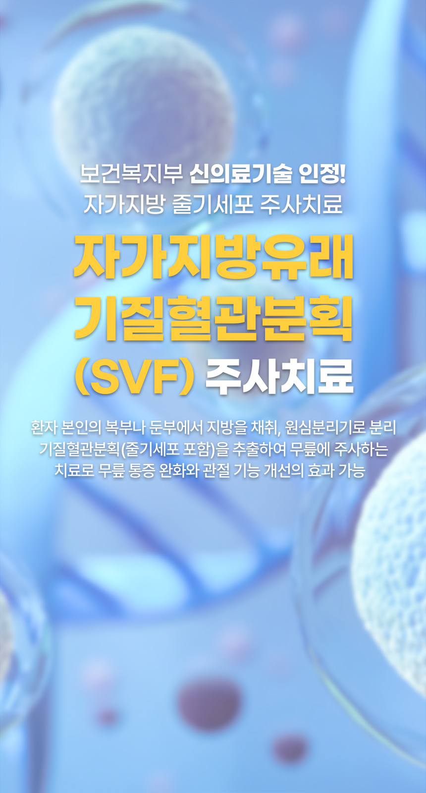 메인 비주얼 배너
